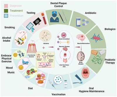 Advances in the prevention and treatment of Alzheimer’s disease based on oral bacteria